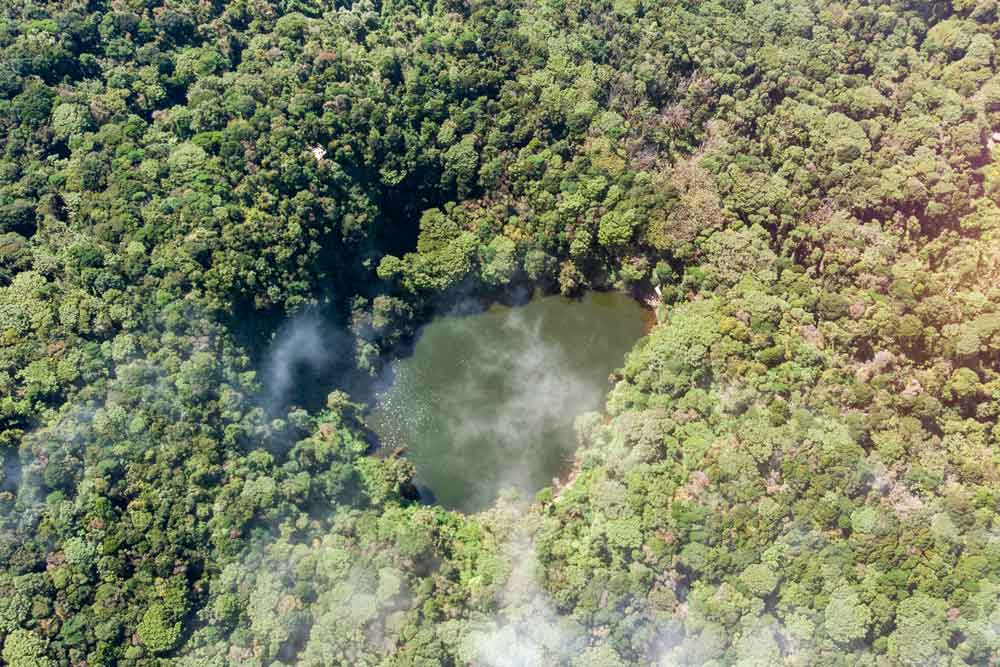 An aerial view of a lake surrounded by trees.